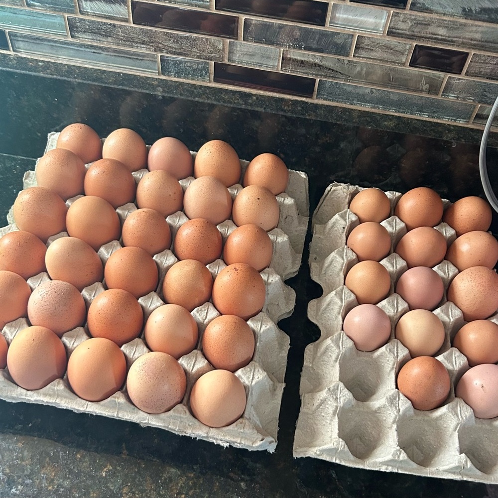 Farm Fresh Brown Eggs